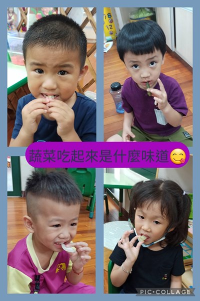蔬菜吃起來是什麼味道