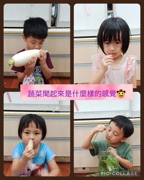 蔬菜聞起來是什麼樣的感覺