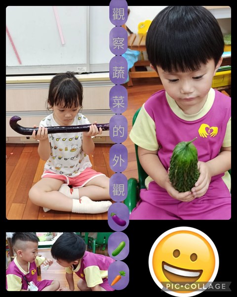 觀察蔬菜的外觀