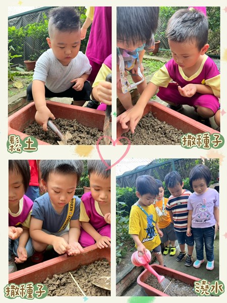 種蔬菜