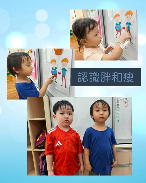 認識胖和瘦