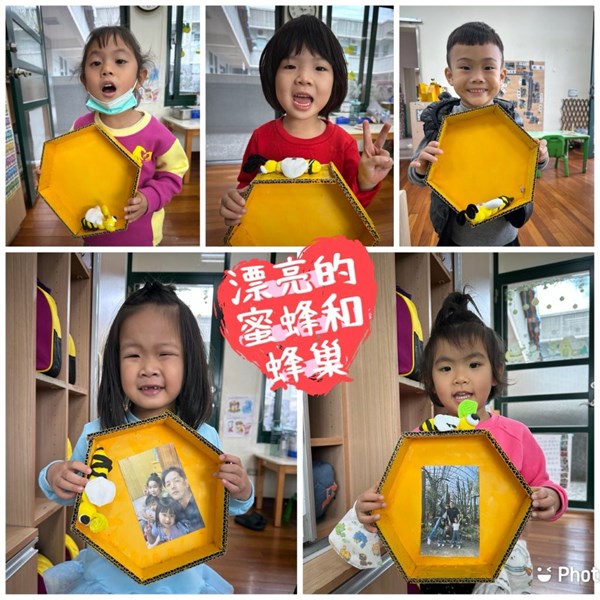 漂亮的蜜蜂和蜂巢