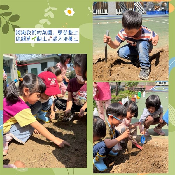 認識菜園及學習整土除草翻土