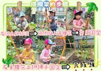 搭棚架的步驟