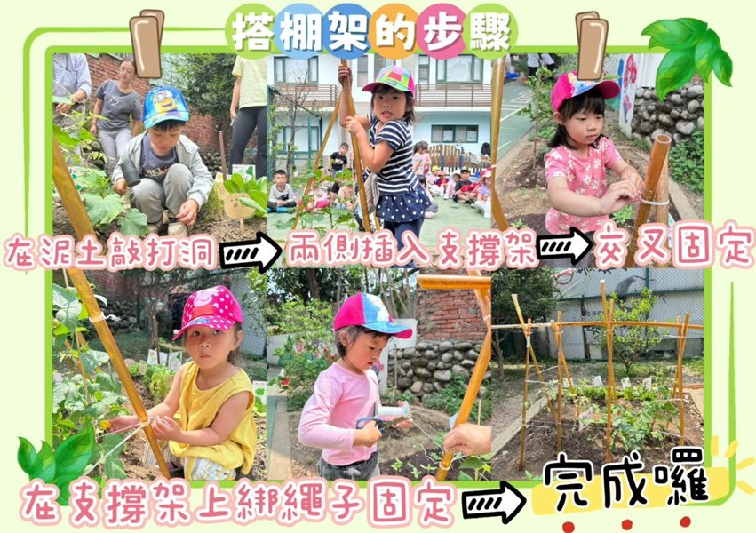 搭棚架的步驟