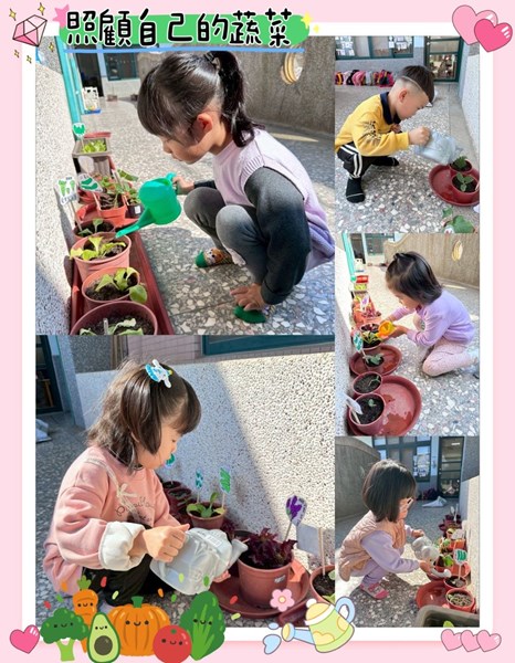 照顧自己的蔬菜