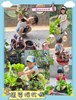蔬菜採收囉