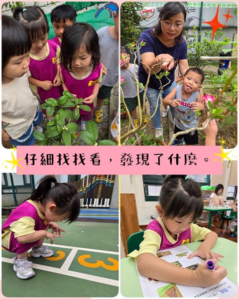 仔細找找發現了什麼