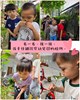 看一看摸一摸仔細觀察幼兒園的植物