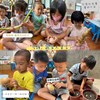 莖類蔬菜大集合