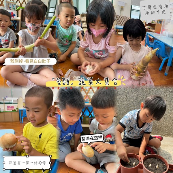 莖類蔬菜大集合