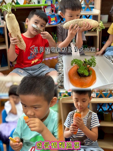 感受根類蔬菜