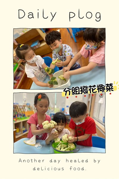 分組撥花椰菜