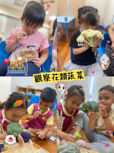觀察花類蔬菜