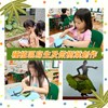 種植區寫生及做樹葉創作