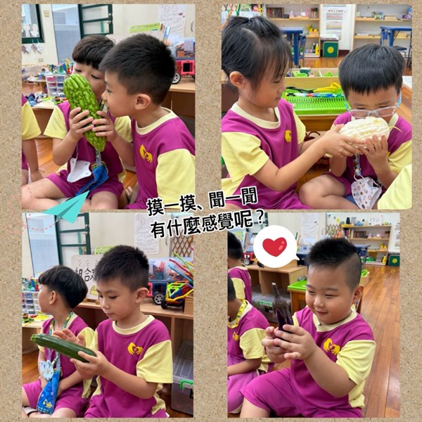 摸一摸聞一聞有什麼感覺