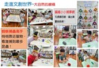 蜘蛛捕蟲高手