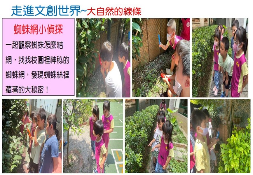 蜘蛛網小偵探