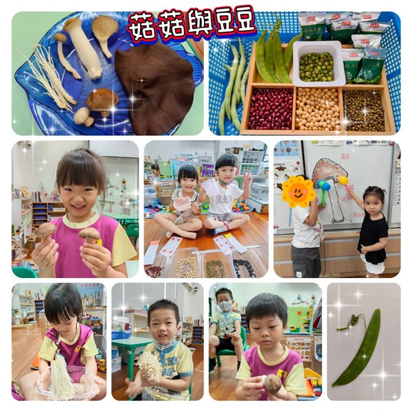 菇菇與豆豆