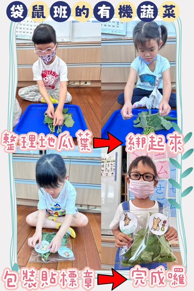 有機蔬菜